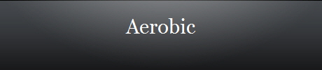 Aerobic